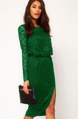 Lace Elegant Dress